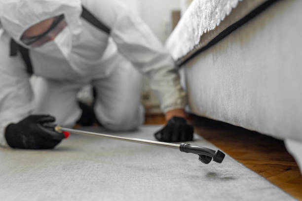 Professional Cockroach Control technician working in Century, FL