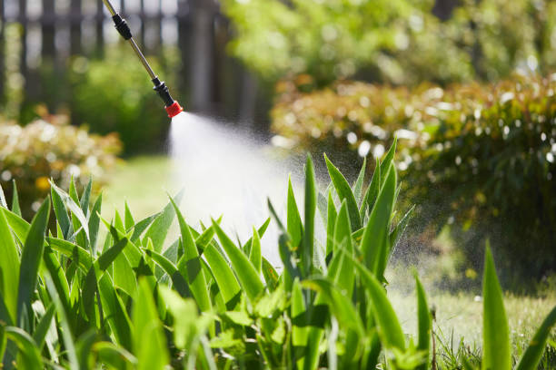 24/7 Emergency Cockroach Control experts in Century, FL