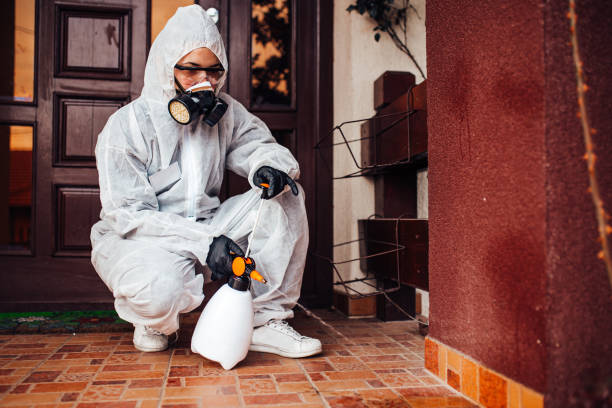 Reliable Cockroach Control contractor in Century, FL by Nex Pest Control